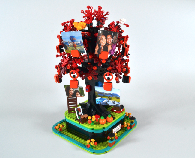 LEGO 21346 Семейное дерево - фото7
