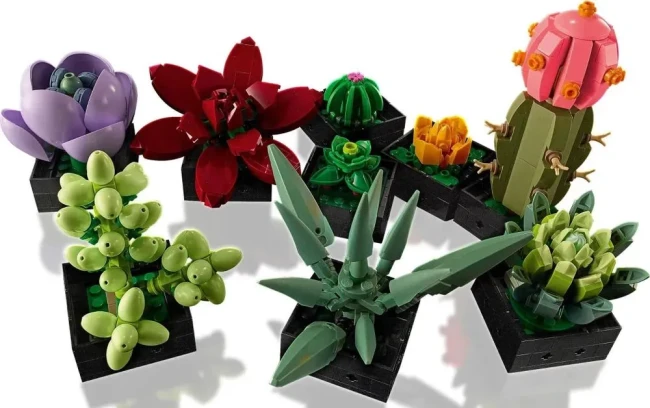 LEGO 10309 Суккуленты - фото10