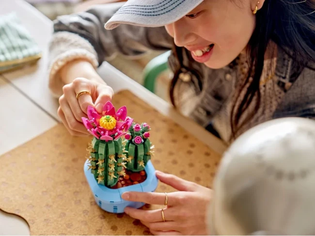 LEGO 11509 Цветущий кактус  - фото6