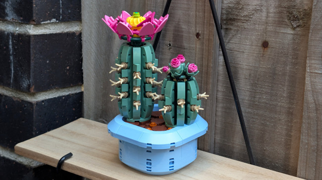 LEGO 11509 Цветущий кактус  - фото8