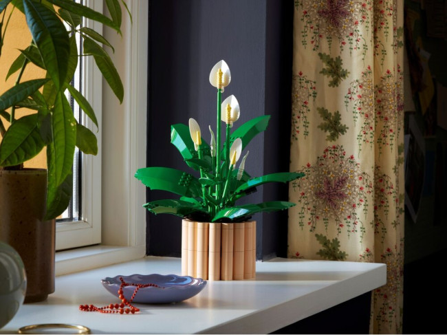 LEGO 11504 Мирная лилия   - фото3