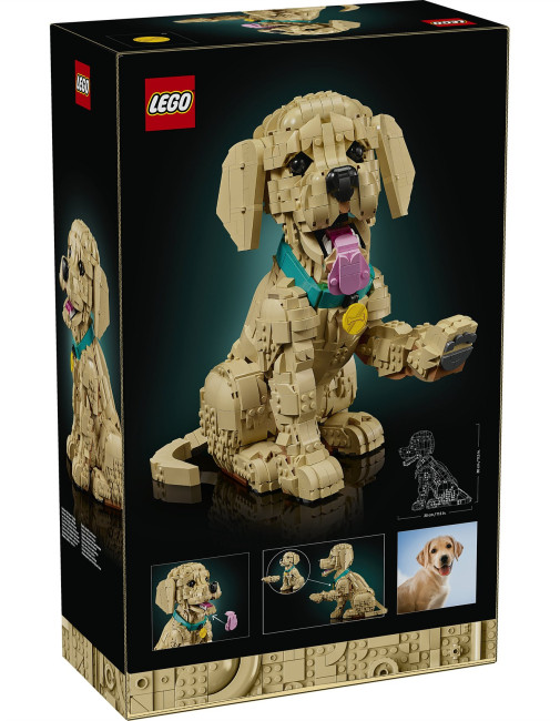 11384 Щенок золотистого ретривера LEGO Icons - фото2
